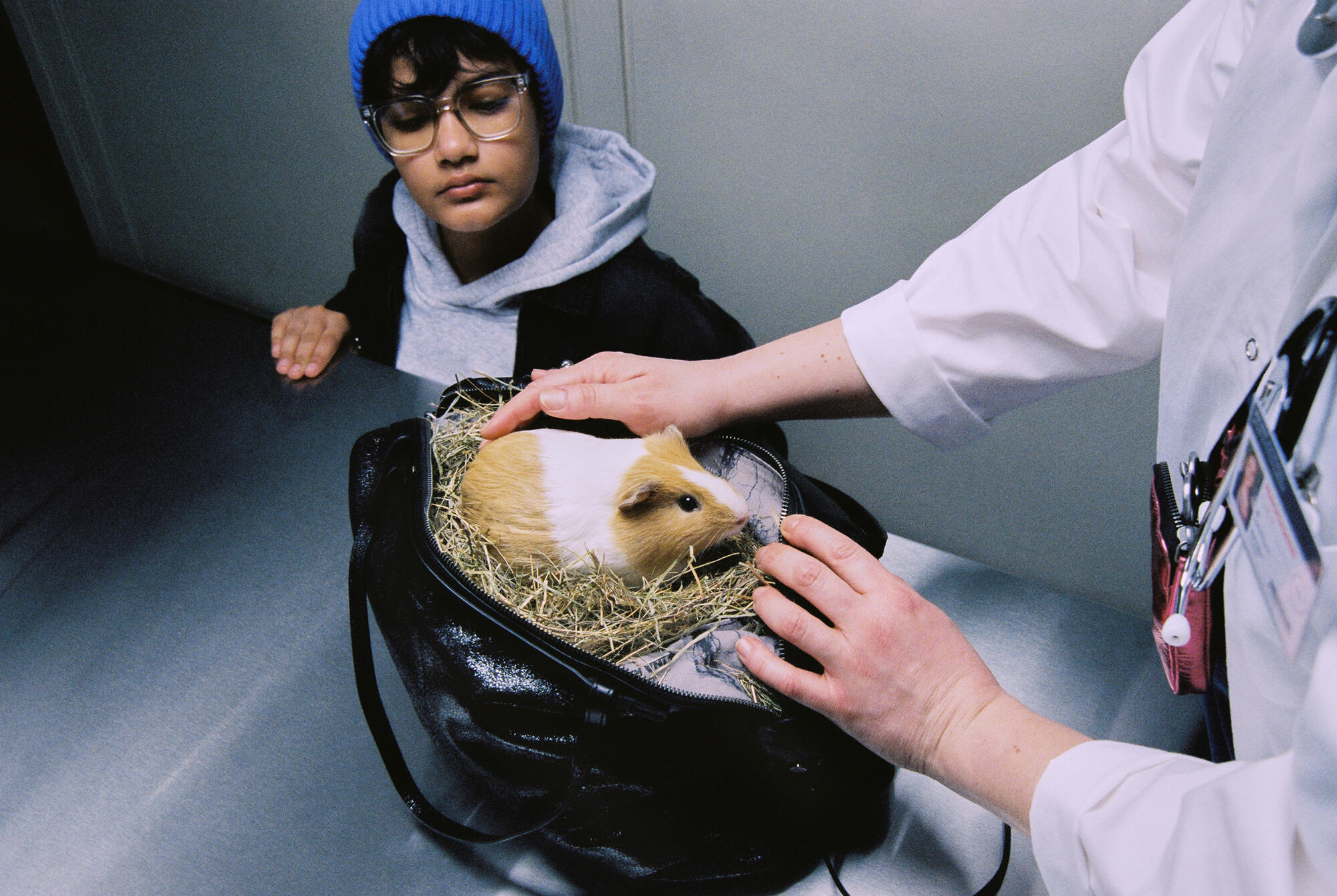A person in a lab coat opens an INA KENT black bag containing a guinea pig on hay, while a child wearing glasses and a blue beanie looks on.