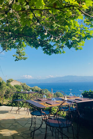 INA KENT Corsica Travel Guide Restaurant Cap Corse 
